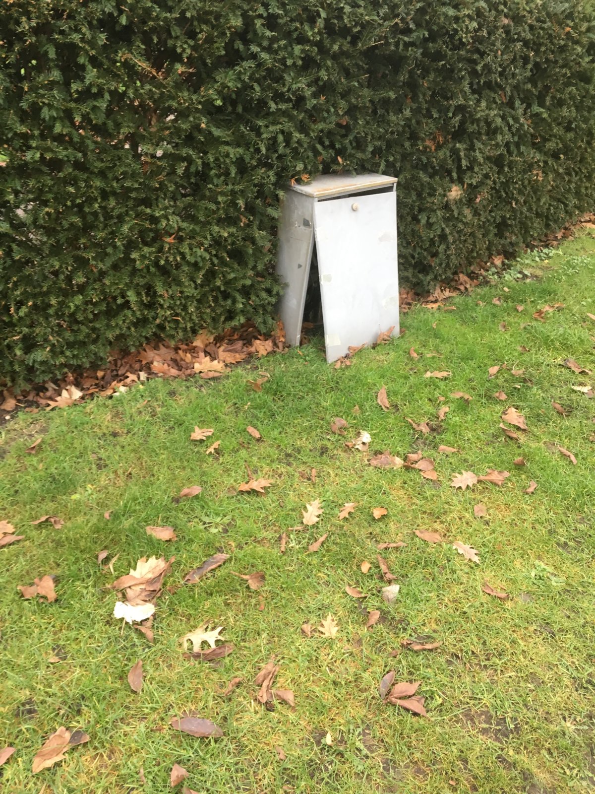 IMG_7061.jpeg