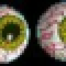 polm