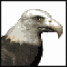 eagle2