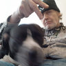 Pitbullcritics