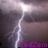 TedZero