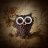 Topdude